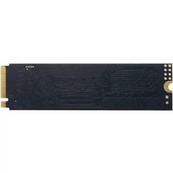 P300 256GB