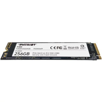 P300 256GB