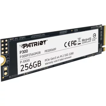 P300 256GB