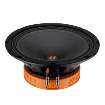 DL Audio Raven 200