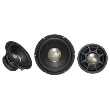Morel Primo 804