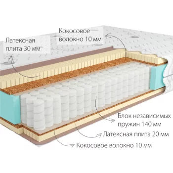 Kondor-Sidney 2 Medio