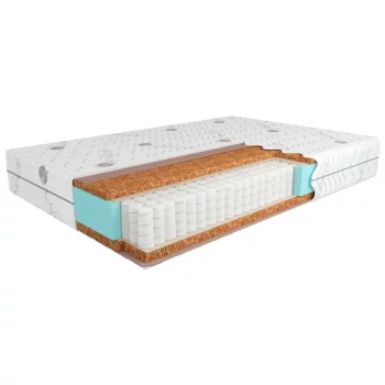 Kondor-Solid 2 Medio