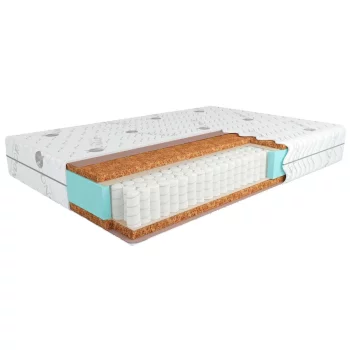 Kondor-Solid 2 Tango