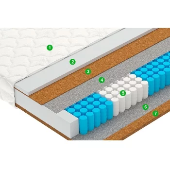 Vegas-Vector (5-Zone)