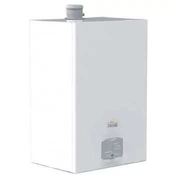 Ferroli-Force W 60