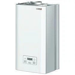 Protherm Пантера 25 KOV