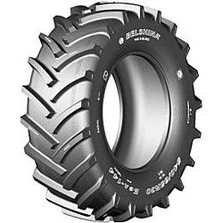 Белшина Бел-144