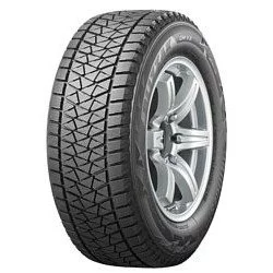 Bridgestone Blizzak DM-V2