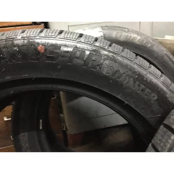 Gripmax Status Pro Winter