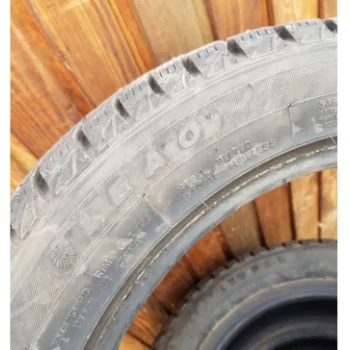 Leao Winter Defender Grip