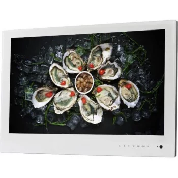 Avel AVS240WS