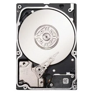 Seagate ST9300653SS